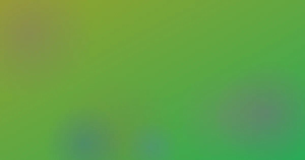 beeg欧美怎么用：实测流程